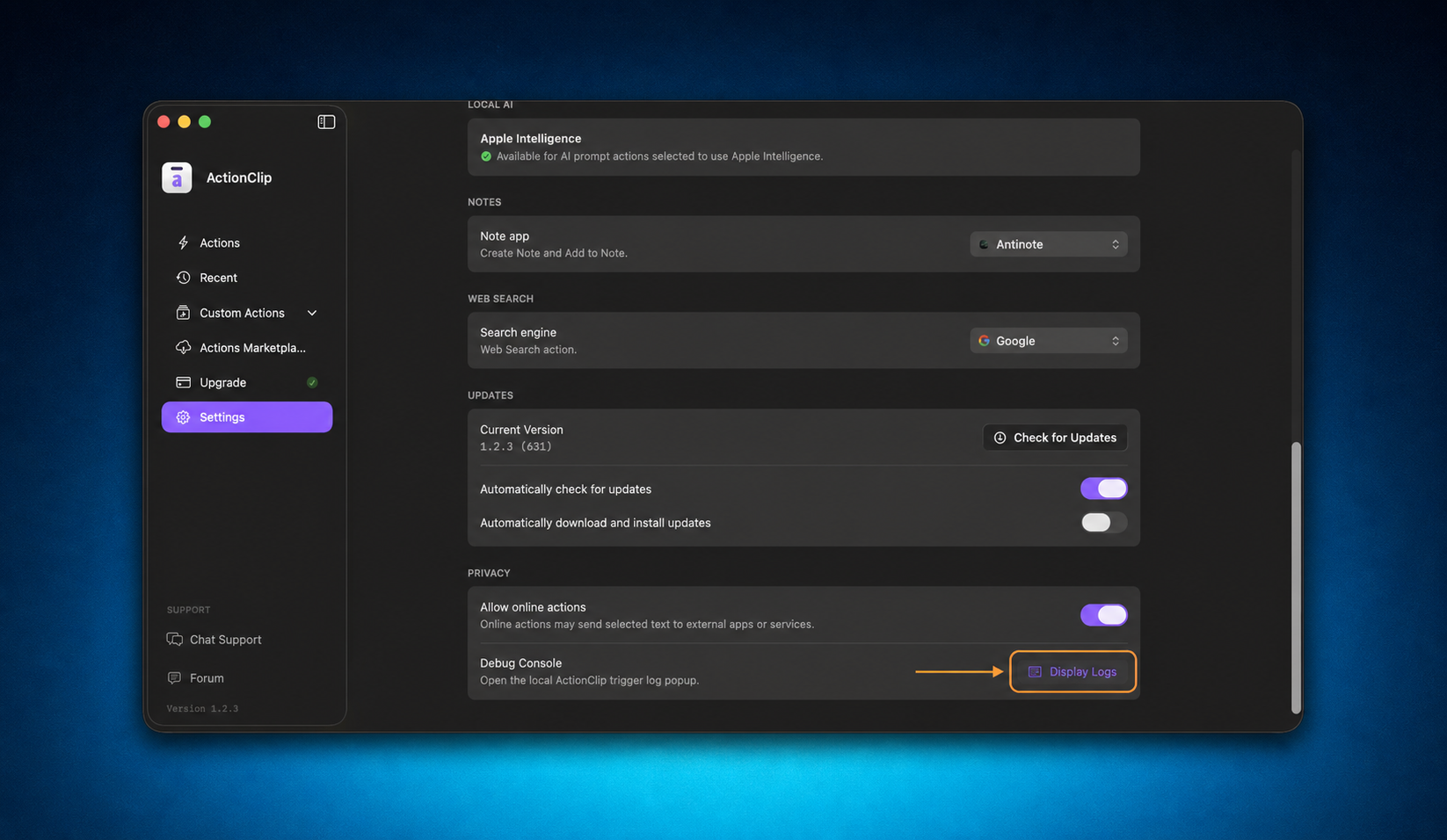ActionClip Settings showing the Display Logs button on a blue themed background.