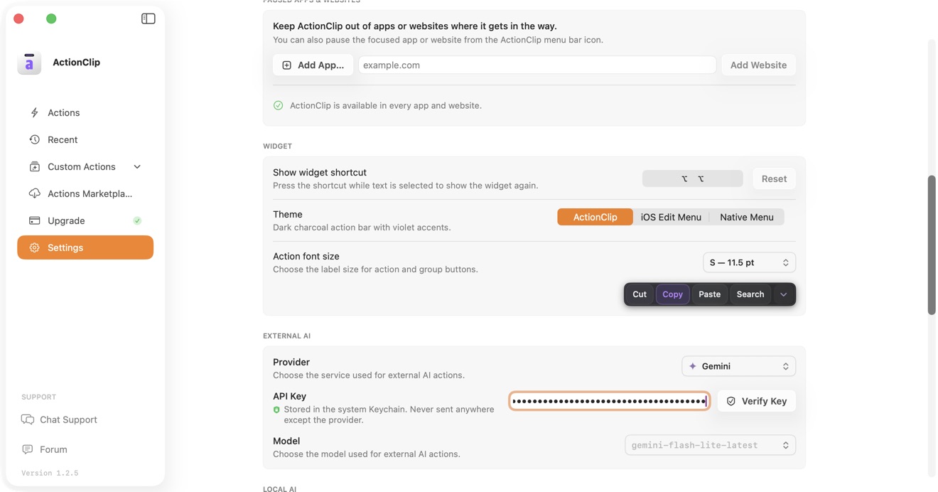 ActionClip External AI provider, API key, and model controls.