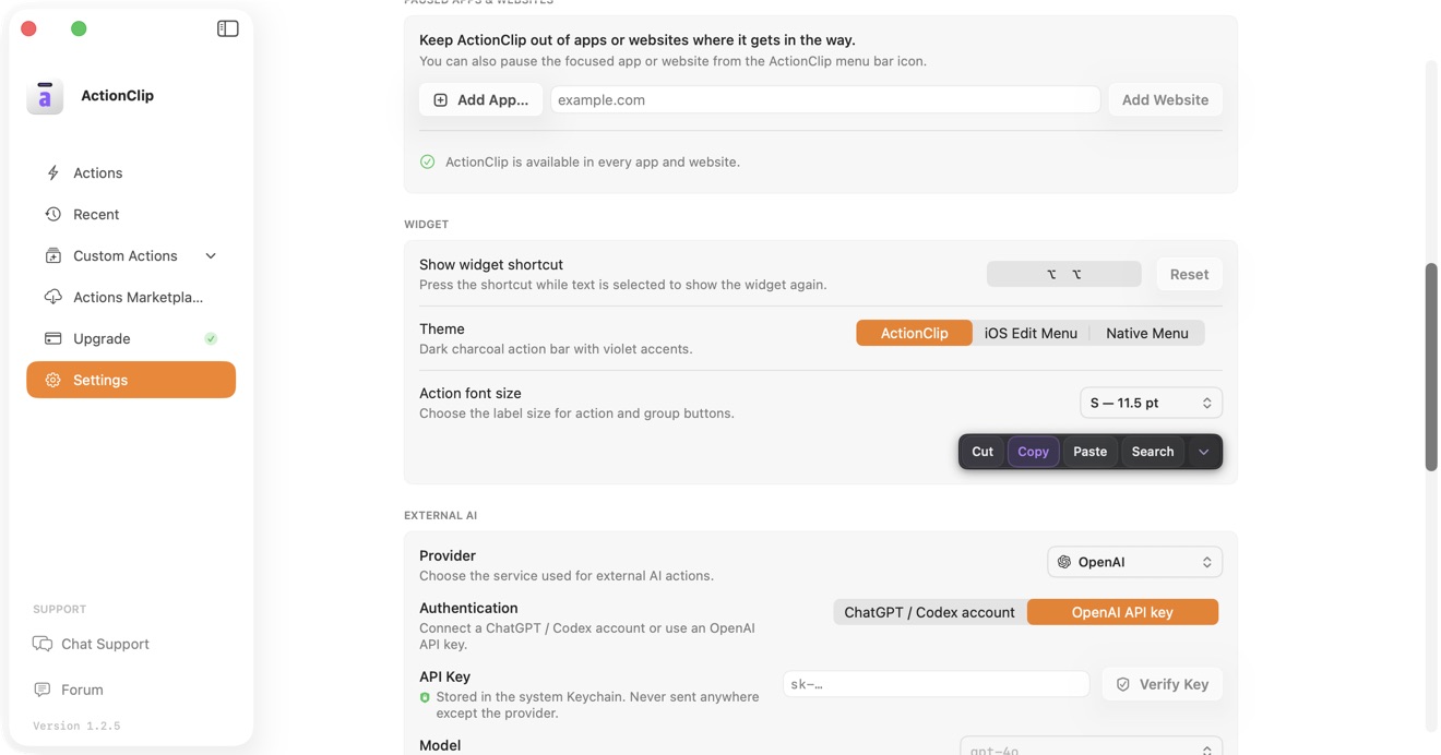 ActionClip External AI settings showing OpenAI and its authentication choices.